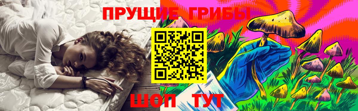 Псилоцибиновые грибы мицелий Елизово