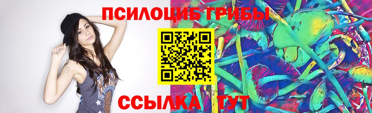 Елизово  Псилоцибиновые грибы Cubensis  Вход с VPN 